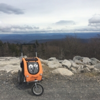 The grand views of Dolly Sods!