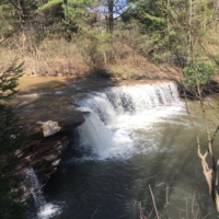 One of the teeny waterfalls along Blackwater Falls Canyon Trail