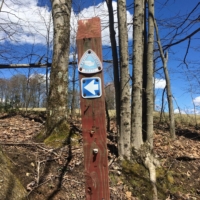 American Discovery Trail signage! West Virginia is ripe with them.