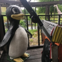 I finally relented and took shelter from the storm at a nearby mini golf patio