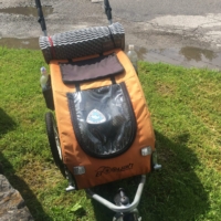 Faith's eyes are missing, so they've been temporarily replaced with my ADT memento