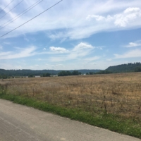 Indiana is a grass, or wheat, filled field, one after another