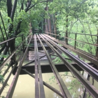 Er- the condition of this bridge wasn't in my guide book. Don't think Faith's crossing it.