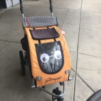 Faith's eyes are restored! Look at her fabulous self!