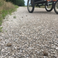 The trail is covered with hundreds-if not thousands- of snails. We try our very best to avoid them, but let's just say Faith is officially a murderess.