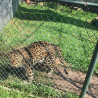 Stopped by Cedar Cove Conservation Center as a reward to myself for reaching Kansas