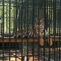 AAHH! A volunteer at Cedar Cove named Jill invited me home for the night!