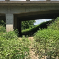 Found the perfect stealth camping spot. Don't have to utilize it, just admiring it