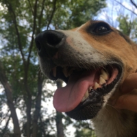 This cutie came out of nowhere to say hello, then bolted off