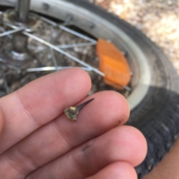 I've been introduced to a new form of hell - goatheads. Spikes that serve no purpose but to ruin your day. Thankfully, my slime tires help stunt their destructive reign.