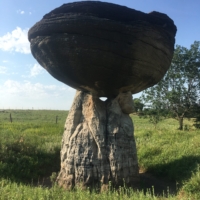 That's one mushroom shaped rock alright
