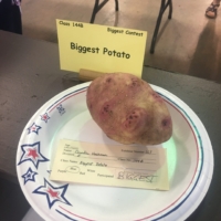 One of my favorite specimens at the 4H fair