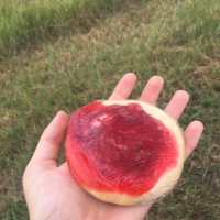 A couple passing by stopped to give me this pastry!