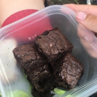 Brownies from Vipawan :)