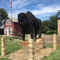 Buffalo buffalo buffalo