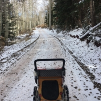 I've been walking at a near constant uphill ascent for ~20 miles. I'm so high there's snow.