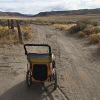 75%+ of Nevada is public land, yet the public land is often fenced off for cattle. Which puts Faith & I in a pickle.