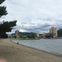 The lake's shoreline