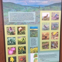 Quilomene Wildlife Area, a shrubsteppe habitat