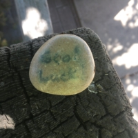 Guess who did 100 MILES today?? My first century! I never thought I could! š