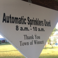 Who needs an alarm clock when you have this!