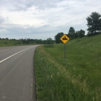 You know you're in Minnesota when you see a snow mobile sign, haha!