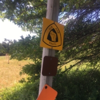 I cross paths with the famed Ice Age Trail!