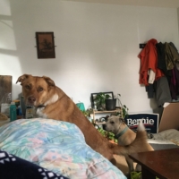 Couch camping at Kate's house.