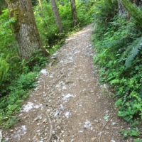 Deep Creek Trail, too rugged to ride, and steeper than it looks