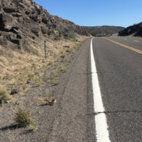 Holy ----, I almost got bitten by a rattlesnake! Just now, I didn’t spot him on the road until it was too late and he rattled his tail and reared back to strike me and everything. (1/2)