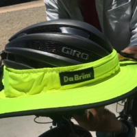 On the Pacific Electric Trail, a wood bee smahes into my eye, then a fly sucker-punches me in the back of the throat, forcing an emergency pull over to dry-heave. A fellow cyclist shows me his helmet brim, and a squirrely woman hands me yellow flowers.