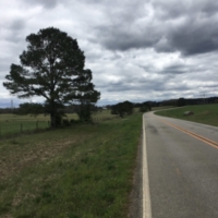 I have picked up my pace, from 25-30 to 35-45 miles per day! My training regiment for this trip was getting fat and never exercising, so the improvement is encouraging. Let's roll.