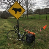 In this last week I’ve gone from cotton country to cow landia and now I’m off into the concrete jungles of Atlanta ...