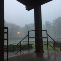 Here, too many options and they all look like they were drawn by a kid with a crayon (2/2) | Moodswinging weather. 30 minute torrential downpour this morning. I, too, feel like crying about having to wake up.