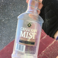 AirBnB host in West Blocton gave me this old whisky bottle to fill with my leftover milk so I could take it along. Woot!