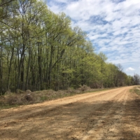 the middle of nowhere, in the very best way