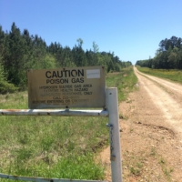 Sometimes I must gauge how likely I think I am to be believed If I tell someone "shoot, I didn't see the sign." This one is easier to ignore . . .