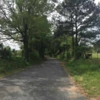 The most endearing road to Texas