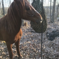 Highlining Finley overnight for the first time ended disastrously. Lesson learned!