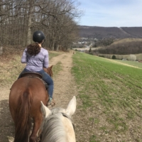 Our instructor rides Finley out and I ride him back to the barn!
