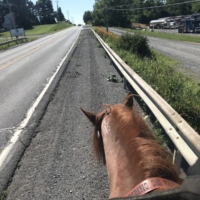 Check out that den of slumbering dragons we pass by on our right hand side!