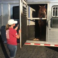Finley did remarkably well for his first time trailering in over a month (and only the third time in general!)