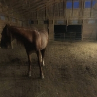 The dairy farmers were a bust. Out of sheer desperation, I try knocking on the next door down as the sun is setting. They say yes to having us! I lay my bedroll down in the hay loft; Finley has a whole indoor arena to himself down below.