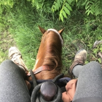 On graze breaks, I get the opportunity to stretch my legs!