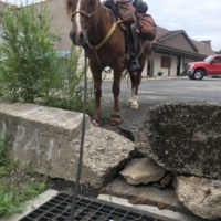 Finley doesn't know about this step.