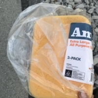 I find this random fun-sized sponge on the side of the road. On warm days, I like to sponge bath Finley in creeks, and up until this point I've been using my tiny kitchen sponge, so this is a great upgrade!