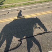 Shadow art. I'm still getting used to seeing myself ON Finley.