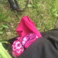 On my walk across America, I found a red bandanna in Utah, discarded on the side of the road. I cherished it ever since ... until I lost it on this journey on route to Tuscarora State Forest. For such a little thing, it was a devastating loss. So I am overjoyed today when I find a new bandanna on the side of the road!! It is a peculiar thing, looking pink or red depending on the lighting.