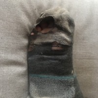 My darn tough socks are nearing the end of their life! They will enjoy no retirement. I will wear them clean to death.