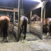 A local horseman delivering hay stops to ask us if we're alright. He then mentions that a nearby farm would be willing to water Finley! When we arrive there, the barn owner extends the offer to stay. I lay my bedroll on some bales of hay in the barn. Finley is stalled in sight.